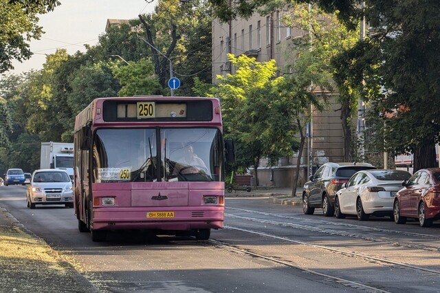 В октябре опубликовано расписание инклюзивных автобусов на городских маршрутах
